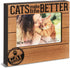 Pavilion Gift Company 67266 We People-Cats Make Life Better Picture Frame, 4x6