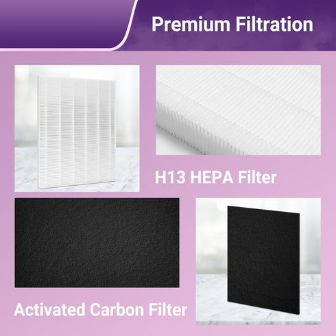 C545 Replacement Filter for Winix S Air Purifier, 2 True HEPA (H13) + 8 Activated Carbon Filters