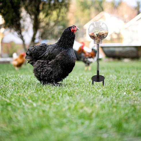 Oooct 2 Pack Chicken Pecking Toys with Swing Feeder, Coop Slow Feeder Toy for Chickens, Chicks, Ducks, Hens, Parrots
