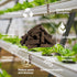 50 MAQIHAN Grow Sponges for Hydroponics - Seed Pods for Garden Seed Starter Pods Growing System Plant for Seed Plugs