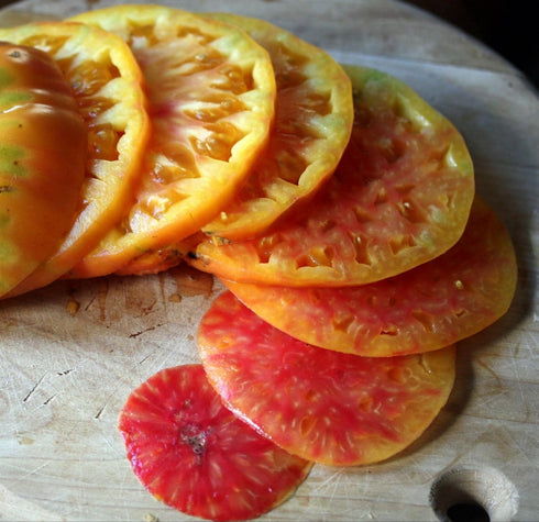 Hillbilly Heirloom Tomato Seeds- 30+ Seeds