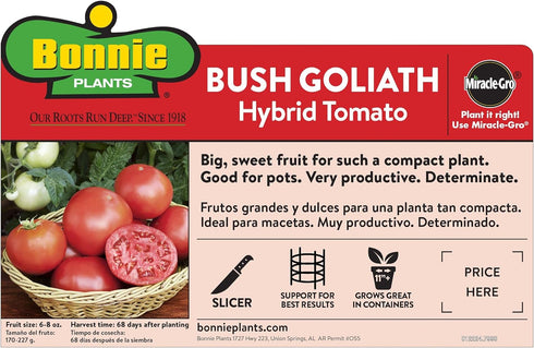19.3 oz., 4-Pack Bonnie Plants Bush Goliath Tomato, Live Plant