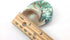 PEPPERLONELY 2 2-1/2 Inch 3 Inch PC Natural Large Hermit Crab Shells, Banded Green Blue Gade Turbo, ~