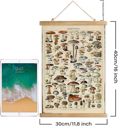 12 16 Inches XIAOAIKA Vintage Mushroom Poster with Wooden Frame - Classic Botanical Print with Variety of Fungi Species