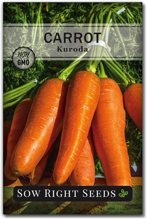 Sow Right Seeds - Kuroda Carrot Seeds for Planting - Non-GMO Heirloom