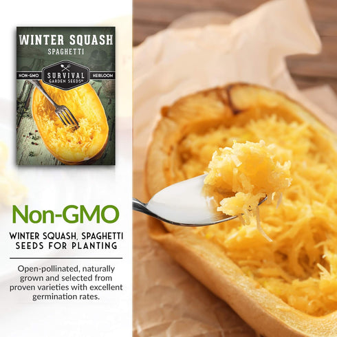3 Packets Survival Garden Seeds - Spaghetti Squash Seed for Planting - with Instructions to Plant and Grow Low Carb