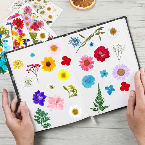 153 Pcs Dried Pressed Flowers for Crafts, Real Wildflowers and Dry Leaves with Tweezer for Jewelry, Candle, Soap Making