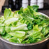 (1 Pack) Seed Needs Romaine Lettuce Seeds for Planting Parris Island COS - Non-GMO Heirloom & Untreated Annual Cool