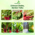 2000 Outsidepride Red Swiss Chard Seeds for Planting Vegetables & Microgreens - Pcs Vibrant, Tasty & Highly Nutritious