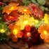 6.5ft 20LED JASHIKA Cute Flower Fairy Lights String of Flowers for Decorating Floral Garland for Wedding Christmas
