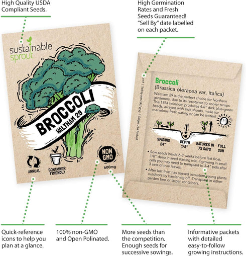 13 Vegetable Seeds for Planting: Heirloom Veggie Seeds for Planting Home Garden: Tomatoes Lettuce Beets Bell Pepper