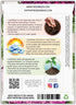 (5 Packs) Seed Needs Cauliflower Seeds for Planting Purple of Sicily Cauliflowers - Non-GMO Heirloom & Untreated