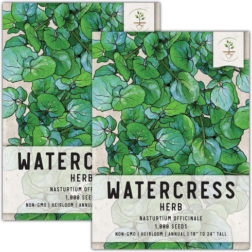 Seed Needs Watercress Seeds for Planting Nasturtium officinale - Non-GMO Heirloom &