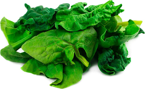 Hometown Seeds Bloomsdale Long Standing Spinach Seeds - Non-GMO - 3 Grams, Approximately 275