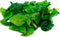 Hometown Seeds Bloomsdale Long Standing Spinach Seeds - Non-GMO - 3 Grams, Approximately 275