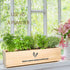 5 Meekear Herb Seeds Garden Starter Kit with Complete Planting Kit & Wooden Flower Box, Growing into Basil, Parsley