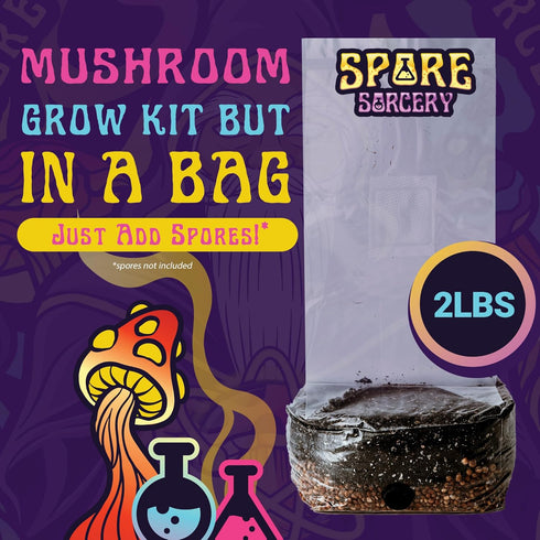 2 LB 16oz SPORE SORCERY All-in-One Grow Bag: Up to of Mushrooms! Nutrient-Enhanced, Injection Port, Just Add Your Own