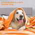 50" 60", Cozy DREAMNINE Soft Fall Fuzzy Fleece Throw Blanket for Couch Sofa x Decorative Solid Lightweight Velvet
