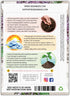 1,000 (1 Pack) Seed Needs, Pennyroyal Mint Seeds - Heirloom Seeds for Planting Mentha pulegium - Medicinal Herb Non-GMO