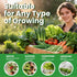 35 Pack 21000+ Set Heirloom Seeds Variety - Non-GMO Seeds for Planting Vegetables and Fruits, Home Garden Seeds