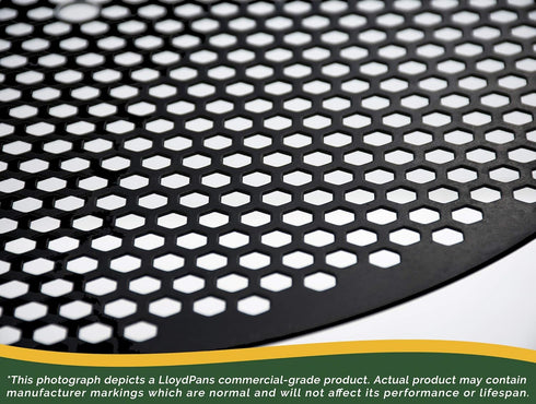 LloydPans 12 Inch Pre-Seasoned Hex Disk