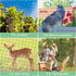 25'x50' 3/4" BSTPCOO Bird Net Bird Netting for Chicken Coop Roof, Nylon Mesh Poultry Netting Garden Nettings for Fruits