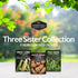 Three Sisters Collection Seed Vault - Non-GMO Heirloom Seeds for Planting Vegetables - Sweetcorn, Butternut Winter