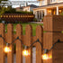 20 Pack Lewufe Outdoor String Lights Clips, Stainless Steel Lights Hanger Hooks for Hanging Christmas Light, Fairy