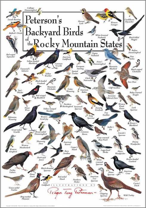 Earth Sky + Water - Peterson s Backyard Birds of the Rocky Mountain States Poster