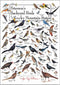 Earth Sky + Water - Peterson s Backyard Birds of the Rocky Mountain States Poster