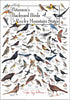 Earth Sky + Water - Peterson s Backyard Birds of the Rocky Mountain States Poster