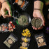 Tikem Kitch 50 Pack HNSHAG Herbs for Witchcraft, Mixed Dried Flowers Kit for Magic Spells Jars, Wiccan Pagan Rituals