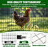 24 50 2x3 inch 15GA PVC Coated Welded Wire Mesh Fence, in x ft, Mesh Heavy-Duty Roll, Garden Border Fencing