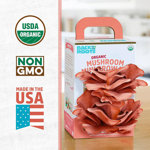 10 Back to The Roots Organic Pink Miniature Mushroom Grow Kit, Harvest Gourmet Mushrooms in Days