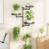 3-Tier OVICAR Rotating Window Plant Shelves - Indoor Wall Plant Stand Floral Metal Window Shelf Holder for Multiple