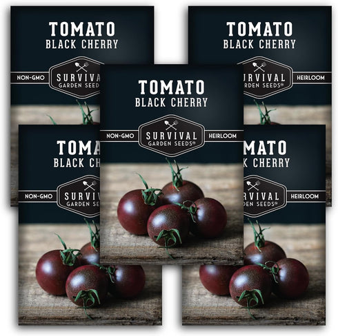 Black Cherry Tomato Seeds for Planting Indeterminate Heirloom Non-GMO Variety Grow High