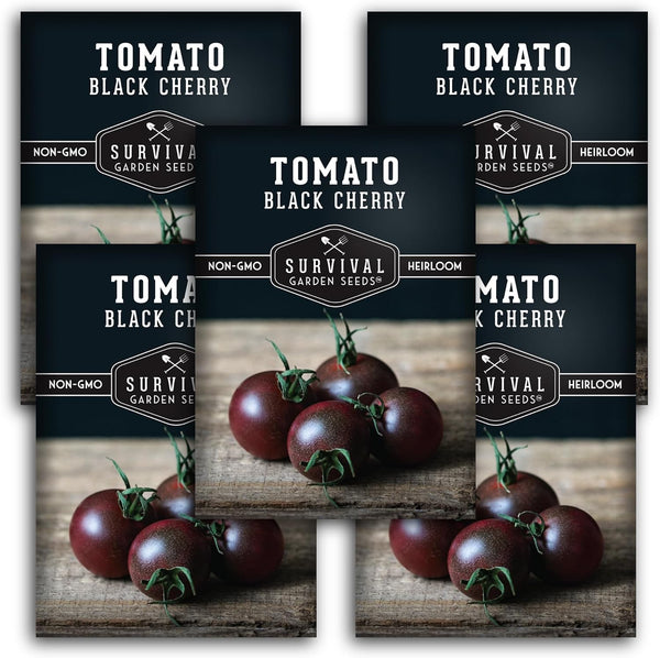 Black Cherry Tomato Seeds for Planting Indeterminate Heirloom Non-GMO Variety Grow High