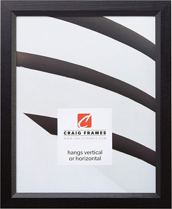 Craig Frames 7171610BK 8.5 x 11-Inch Picture/Poster Frame, Solid Black, Wood Grain Finish