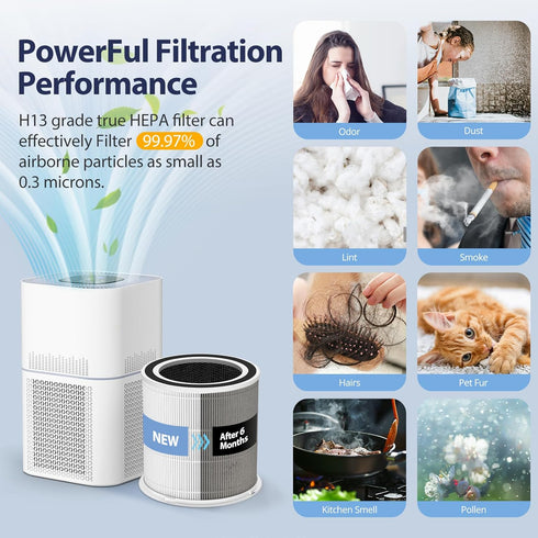 AP301 Replacement Filter for Dayette AP301 AP302 and JOWSET AP301 AP302 AP303, H13 True HEPA Filter, NOT for AP401