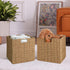 Vagusicc Wicker Storage Basket, Set of 2 Hand-Woven Baskets with Handles, 9 inch Foldable Cube Storage Bins for Pantry