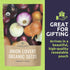 Pack 6 Packs 2026 Organic Onion Seeds Variety - Individual - Season - Walla Walla, Gladstone, Red Geneva and More!