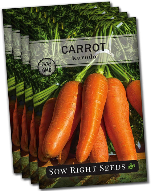 Sow Right Seeds - Kuroda Carrot Seeds for Planting - Non-GMO Heirloom