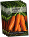 Sow Right Seeds - Kuroda Carrot Seeds for Planting - Non-GMO Heirloom