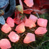 8.5ft 20 Genuine Rose Quartz Crystal Decorative String Lights Raw Stone Color Changing LEDs USB Plug in Battery