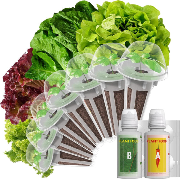 LYKOCLEAN Salad Romaine Lettuce Pods for AeroGarden, Ahopegarden, iDOO Hydroponics Growing System,