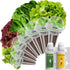 LYKOCLEAN Salad Romaine Lettuce Pods for AeroGarden, Ahopegarden, iDOO Hydroponics Growing System,