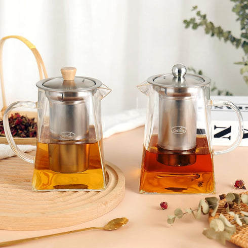 CNGLASS 24oz Glass Teapot with Infuser, Clear Kettle with Removable Stainless Steel Strainer, Stovetop Safe