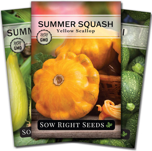 Sow Right Seeds - Summer Squash Seed Collection for Planting - Individual