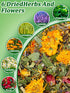 20OZ Chicken Nesting Herbs for Outdoor Indoor Chicken Coop - Natural Egg-Laying Box Feed Herbs for Freshening Bedding