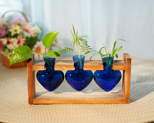 3-Heart Kingbuy Plant Terrarium Kit with Vintage Wood Stand - Stained Glass Vase Propagation Station, Wall-Mounted